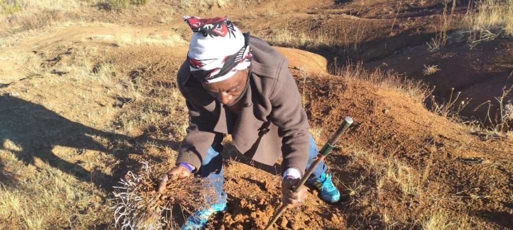 Lesotho traditional healer Mohaneng Lekhooana 